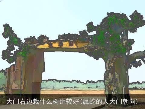 大门右边栽什么树比较好(属蛇的人大门朝向)