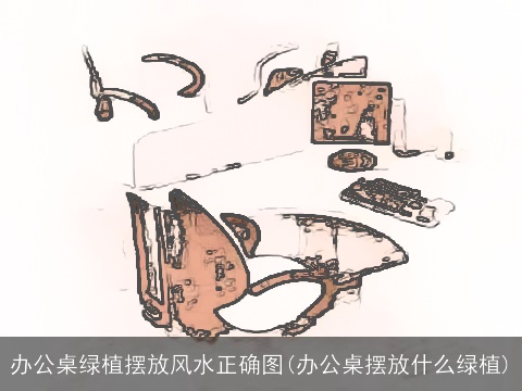 办公桌绿植摆放风水正确图(办公桌摆放什么绿植)