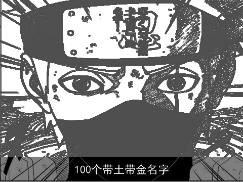 100个带土带金名字