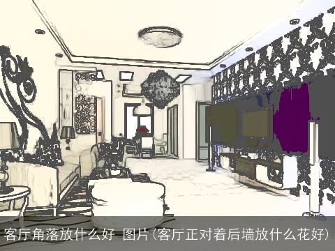 客厅角落放什么好 图片(客厅正对着后墙放什么花好)