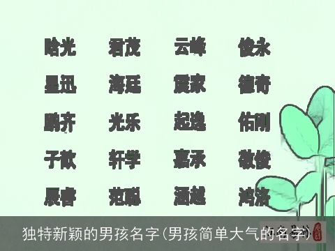 独特新颖的男孩名字(男孩简单大气的名字)