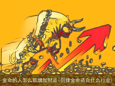 金命的人怎么能增加财运(剑锋金命适合什么行业)