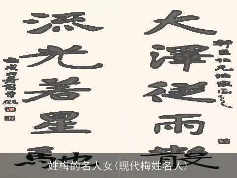 姓梅的名人女(现代梅姓名人)