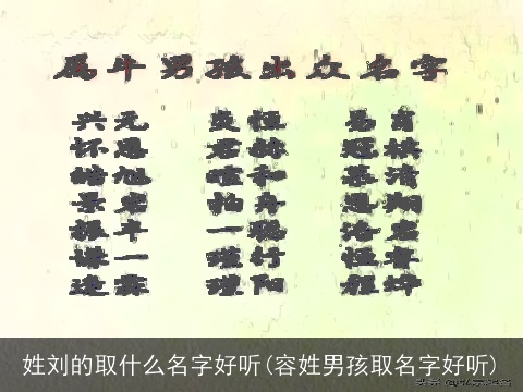姓刘的取什么名字好听(容姓男孩取名字好听)
