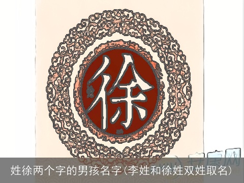 姓徐两个字的男孩名字(李姓和徐姓双姓取名)