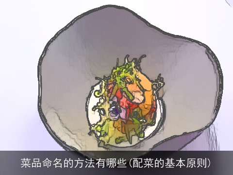 菜品命名的方法有哪些(配菜的基本原则)