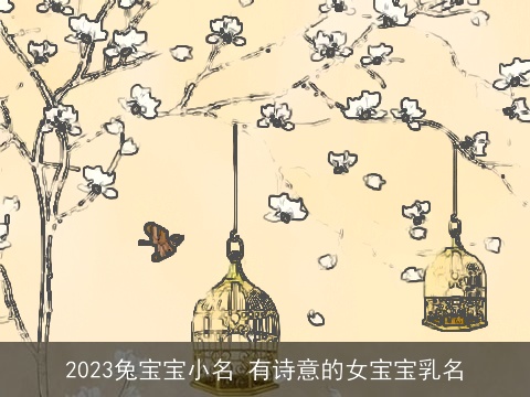 2023兔宝宝小名 有诗意的女宝宝乳名