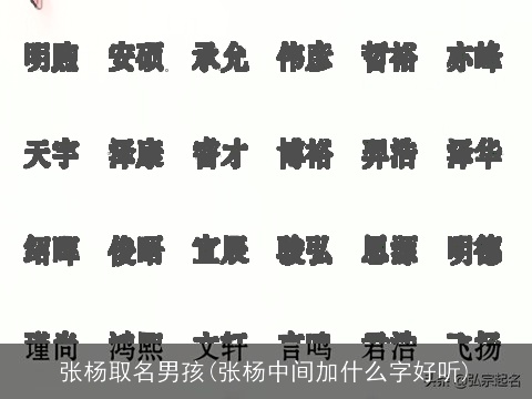 张杨取名男孩(张杨中间加什么字好听)