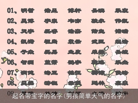 起名带宝字的名字(男孩简单大气的名字)