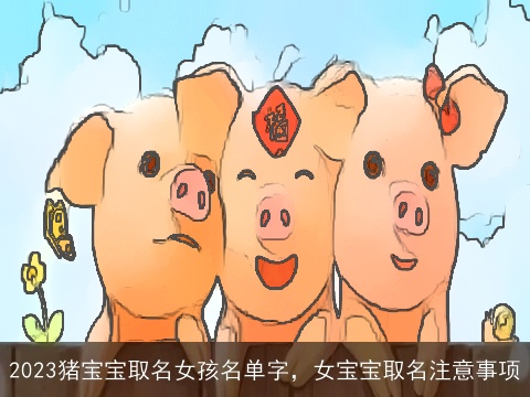 2023猪宝宝取名女孩名单字，女宝宝取名注意事项