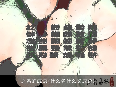 之名的成语(什么名什么义成语)
