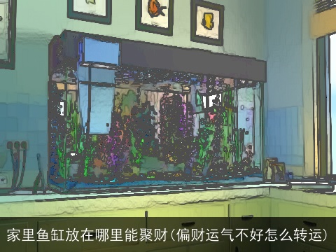 家里鱼缸放在哪里能聚财(偏财运气不好怎么转运)