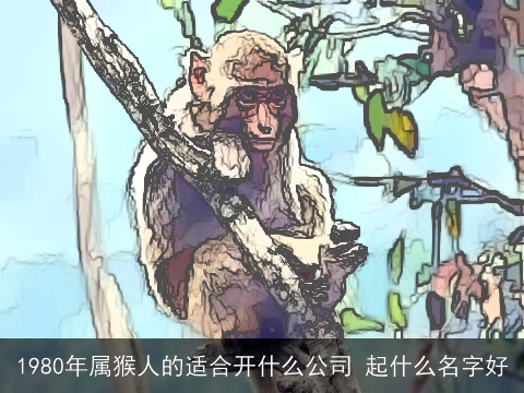 1980年属猴人的适合开什么公司 起什么名字好
