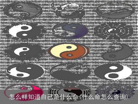 怎么样知道自己是什么命(什么命怎么查询)