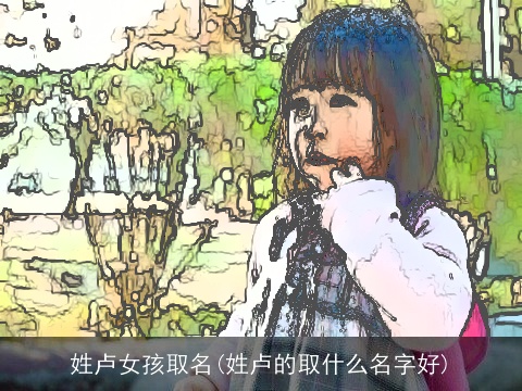 姓卢女孩取名(姓卢的取什么名字好)