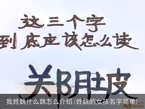 我姓魏什么魏怎么介绍(姓魏的女孩名字简单)