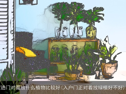 进门对面放什么植物比较好(入户门正对着放绿植好不好)