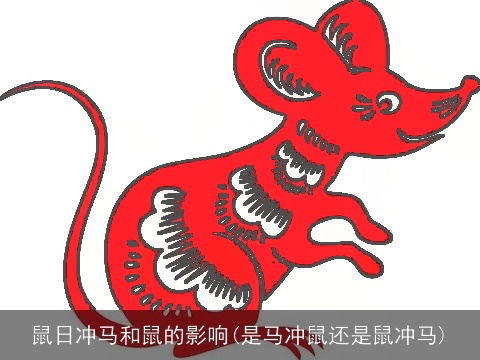 鼠日冲马和鼠的影响(是马冲鼠还是鼠冲马)