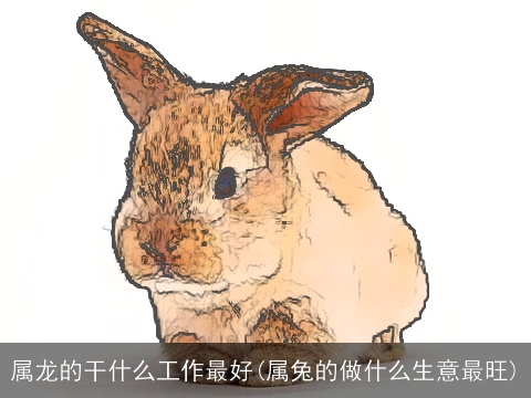 属龙的干什么工作最好(属兔的做什么生意最旺)