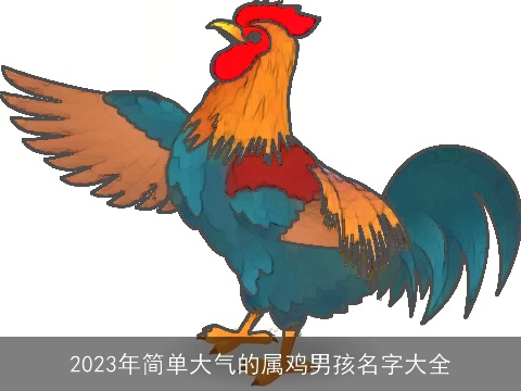 2023年简单大气的属鸡男孩名字大全