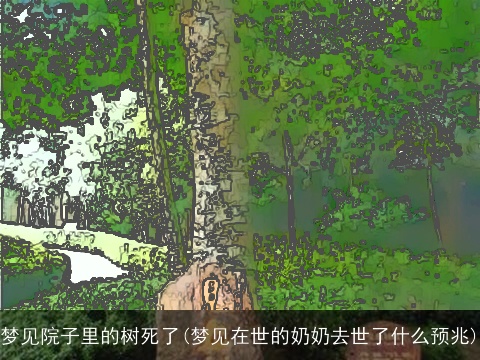 梦见院子里的树死了(梦见在世的奶奶去世了什么预兆)