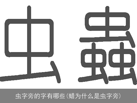 虫字旁的字有哪些(蜡为什么是虫字旁)