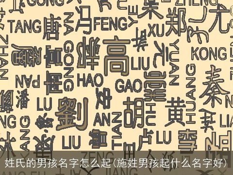 姓氏的男孩名字怎么起(施姓男孩起什么名字好)