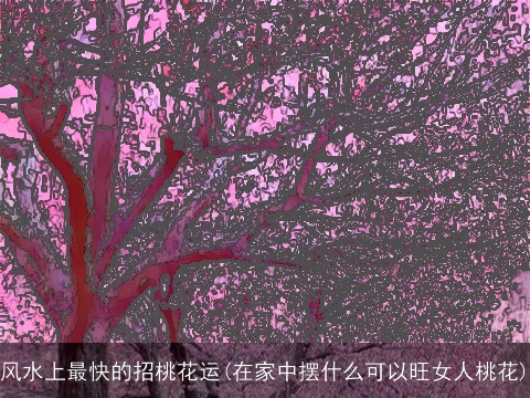 风水上最快的招桃花运(在家中摆什么可以旺女人桃花)