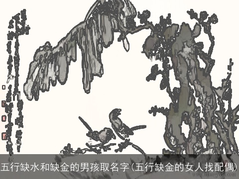 五行缺水和缺金的男孩取名字(五行缺金的女人找配偶)