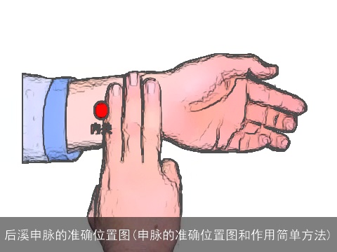 后溪申脉的准确位置图(申脉的准确位置图和作用简单方法)