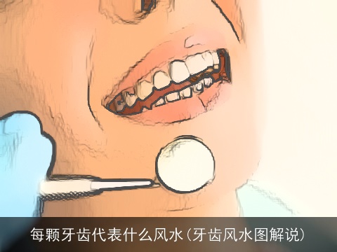 每颗牙齿代表什么风水(牙齿风水图解说)