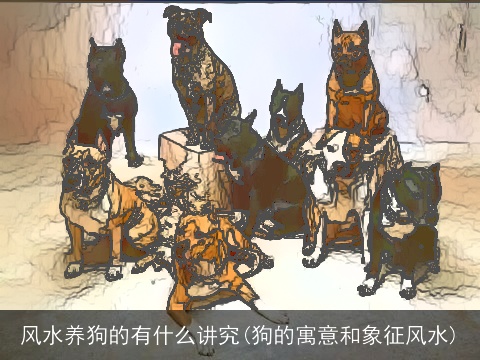 风水养狗的有什么讲究(狗的寓意和象征风水)