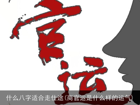 什么八字适合走仕途(商官运是什么样的运气)