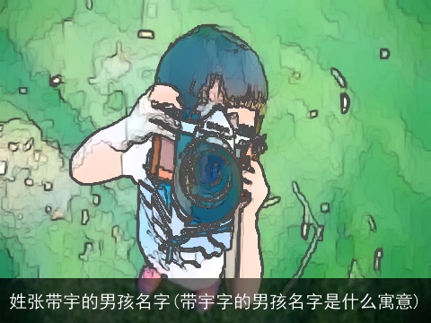 姓张带宇的男孩名字(带宇字的男孩名字是什么寓意)