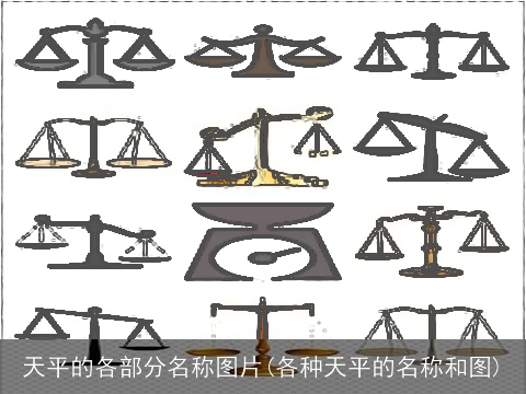 天平的各部分名称图片(各种天平的名称和图)