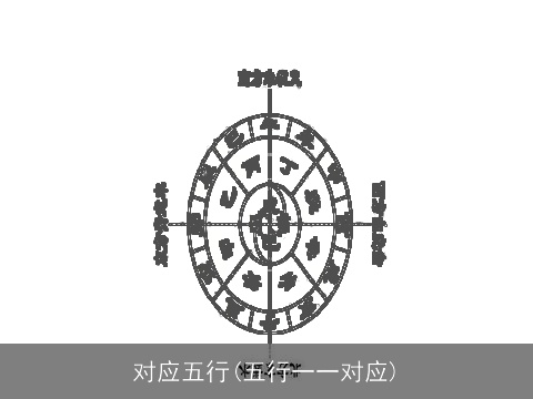 对应五行(五行一一对应)