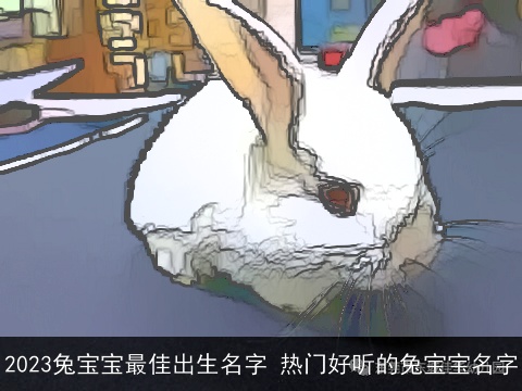 2023兔宝宝最佳出生名字 热门好听的兔宝宝名字