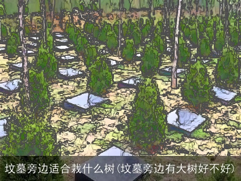 坟墓旁边适合栽什么树(坟墓旁边有大树好不好)