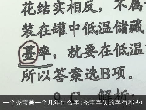 一个秃宝盖一个几年什么字(秃宝字头的字有哪些)