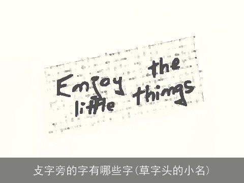 攴字旁的字有哪些字(草字头的小名)