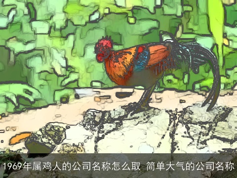 1969年属鸡人的公司名称怎么取 简单大气的公司名称