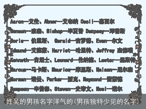 姓吴的男孩名字洋气的(男孩独特少见的名字)