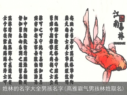 姓林的名字大全男孩名字(高雅霸气男孩林姓取名)