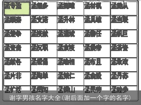 谢字男孩名字大全(谢后面加一个字的名字)