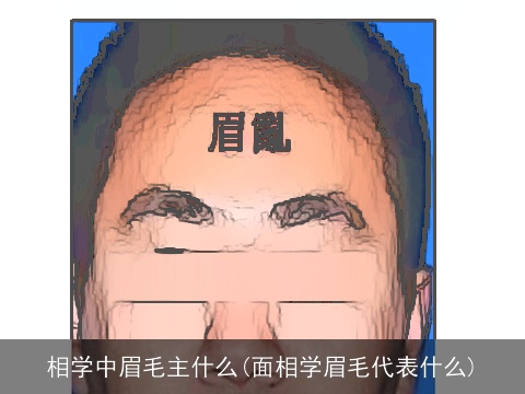 相学中眉毛主什么(面相学眉毛代表什么)