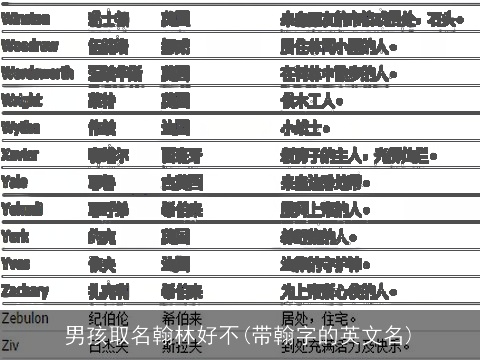 男孩取名翰林好不(带翰字的英文名)