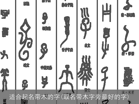 适合起名带木的字(取名带木字旁最好的字)