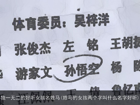 独一无二的好听女孩名姓马(姓马的女孩两个字叫什么名字好听)