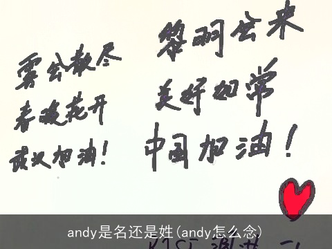 andy是名还是姓(andy怎么念)
