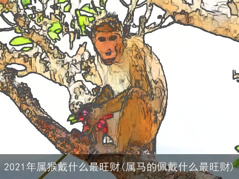 2021年属猴戴什么最旺财(属马的佩戴什么最旺财)